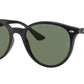 RB4305 601/71 black