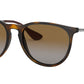 Erika Classic RB4171 gloss tortoise