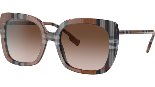 Caroll BE4323 400513 Brown