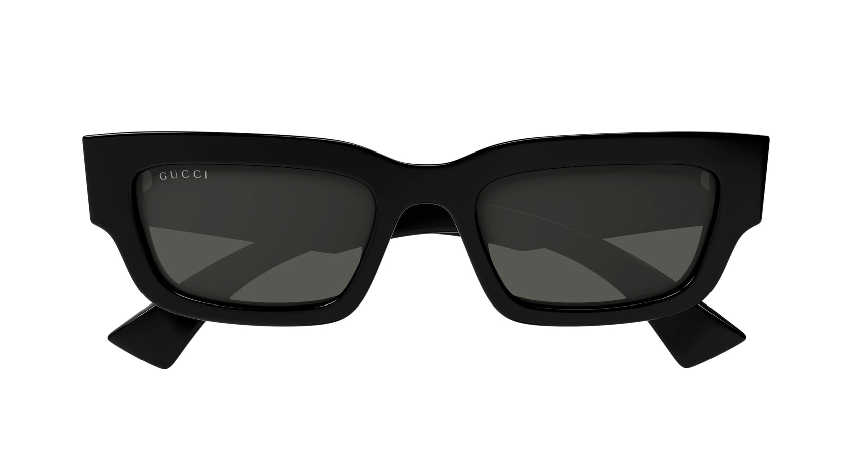 GG1838S 001