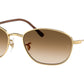 RB3749 001/51 Arista