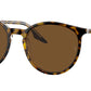 RB2204 139357 Havana Clear
