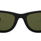 Wayfarer Ease RB4340 black G-15