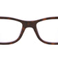 RY1531 For Kids tortoise and violet