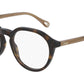 CH0012O 004 dark havana