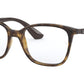 RB7066 shiny havana