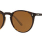 O'Malley Sun OV5183S 166653 Horn