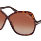 Rosemin FT1013 52F Tortoise