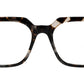 1387 Optical 02
