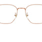 RB8777D Optics 1245