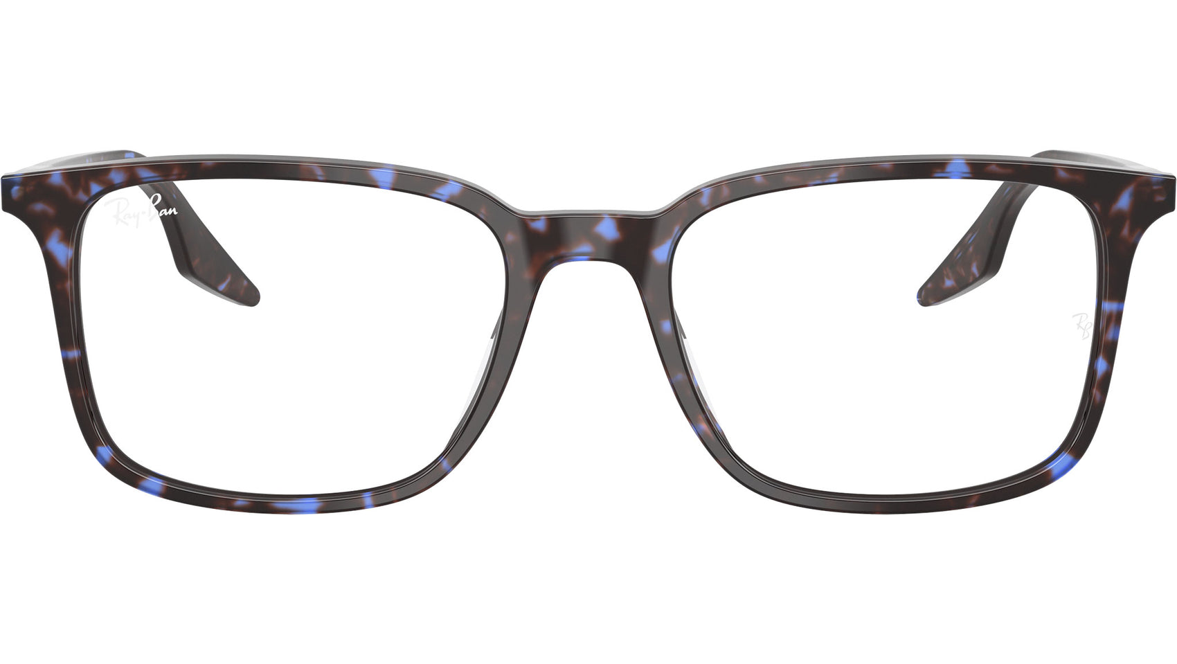 RB5421 Optics 8424
