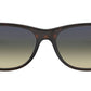 New Wayfarer Classic RB2132 matte havana
