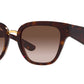DG 4437 502/13 Tortoise Brown