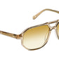 Gazeektal Sun Cinnamon