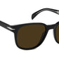 DB 1062/S Black Brown