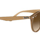 RB2180 turtledove