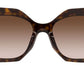 PR 16WS tortoise