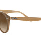 RB2180 turtledove
