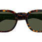 Momza Sun Tortoise