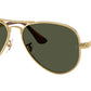 Aviator Max RB3925 001/31