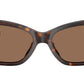 RA5322U 500313 Dark Havana