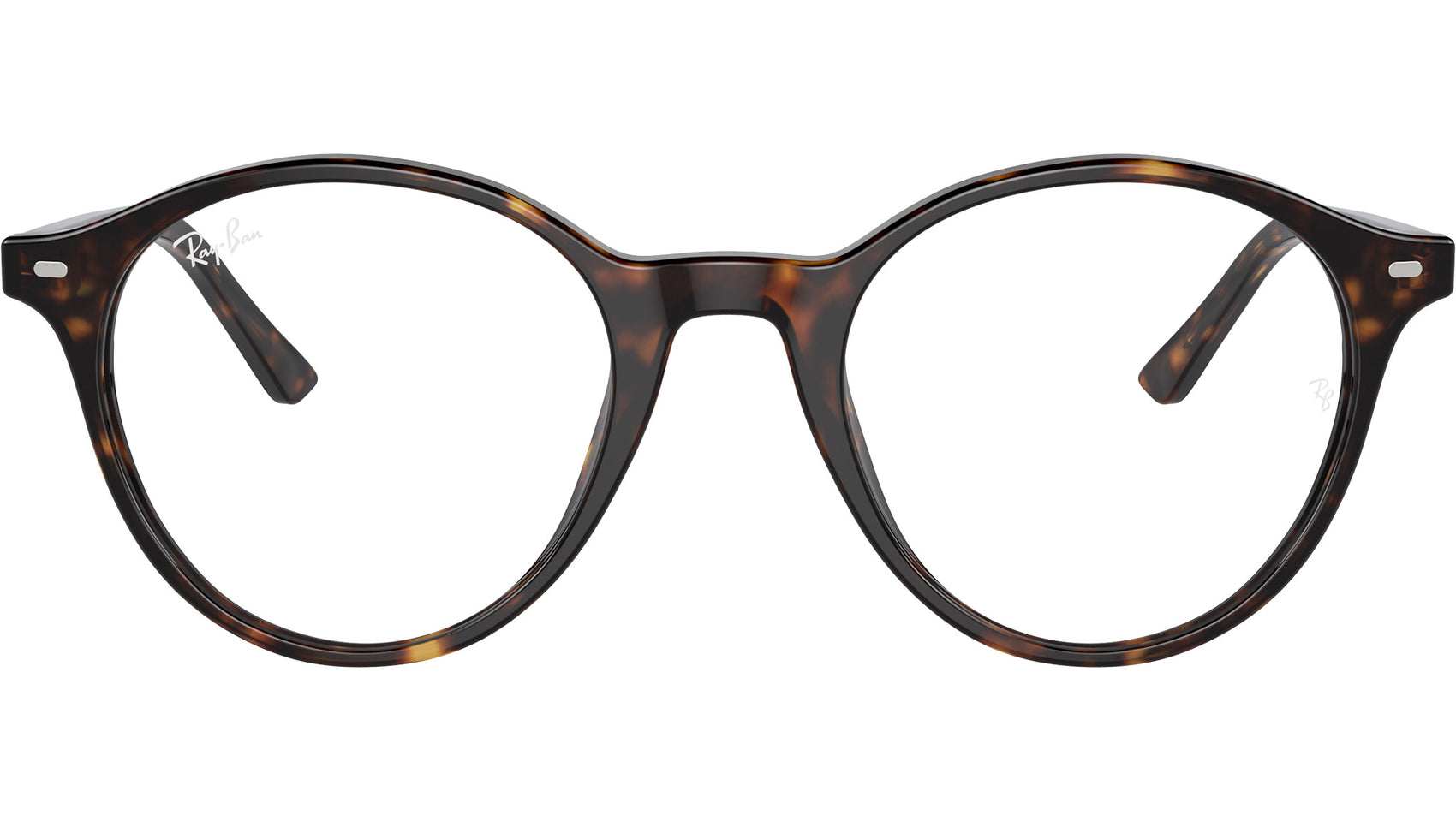 Bernard Optics RB5430 2012