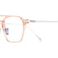 0009 Optical 04