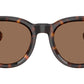 BE4439 300273 Dark Havana