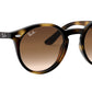 RJ9064S For Kids tortoise