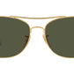 RB3799 001/31 arista