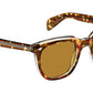 Yontif Sun Tortoise Crystal