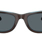 Wayfarer RB2140 1446R5