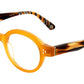 PLA YWHV Yellow