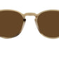 Riley Sun OV5004SU dark tortoise