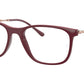RB7244 Optics 8099