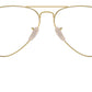 Aviator Optics RB6489 2890