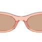 MU 06ZS 13T1P1 Noisette Brown