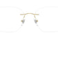 RB8783D Optics 1251