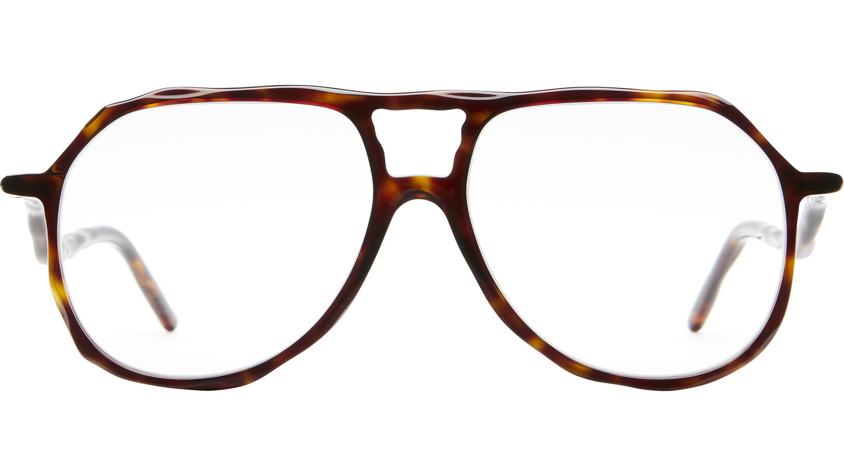 L10 TS Tortoise