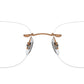 RB8748 Optics 1131