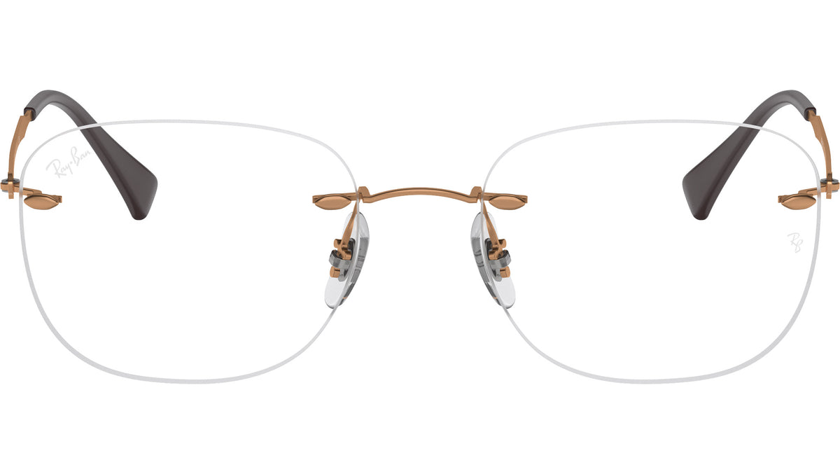 RB8748 Optics 1131