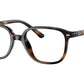 RY9093V 3685 Tortoise