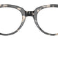 RB2199V Optics 8117