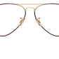 Aviator Optics RB6489 3175