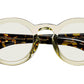 Foygel Citron Tortoise