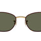 RB3749 927358 Tortoise