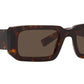 PR 06YS tortoise
