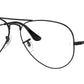 Aviator Optics RB6489 2503
