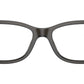 RB5428 Optics 8299