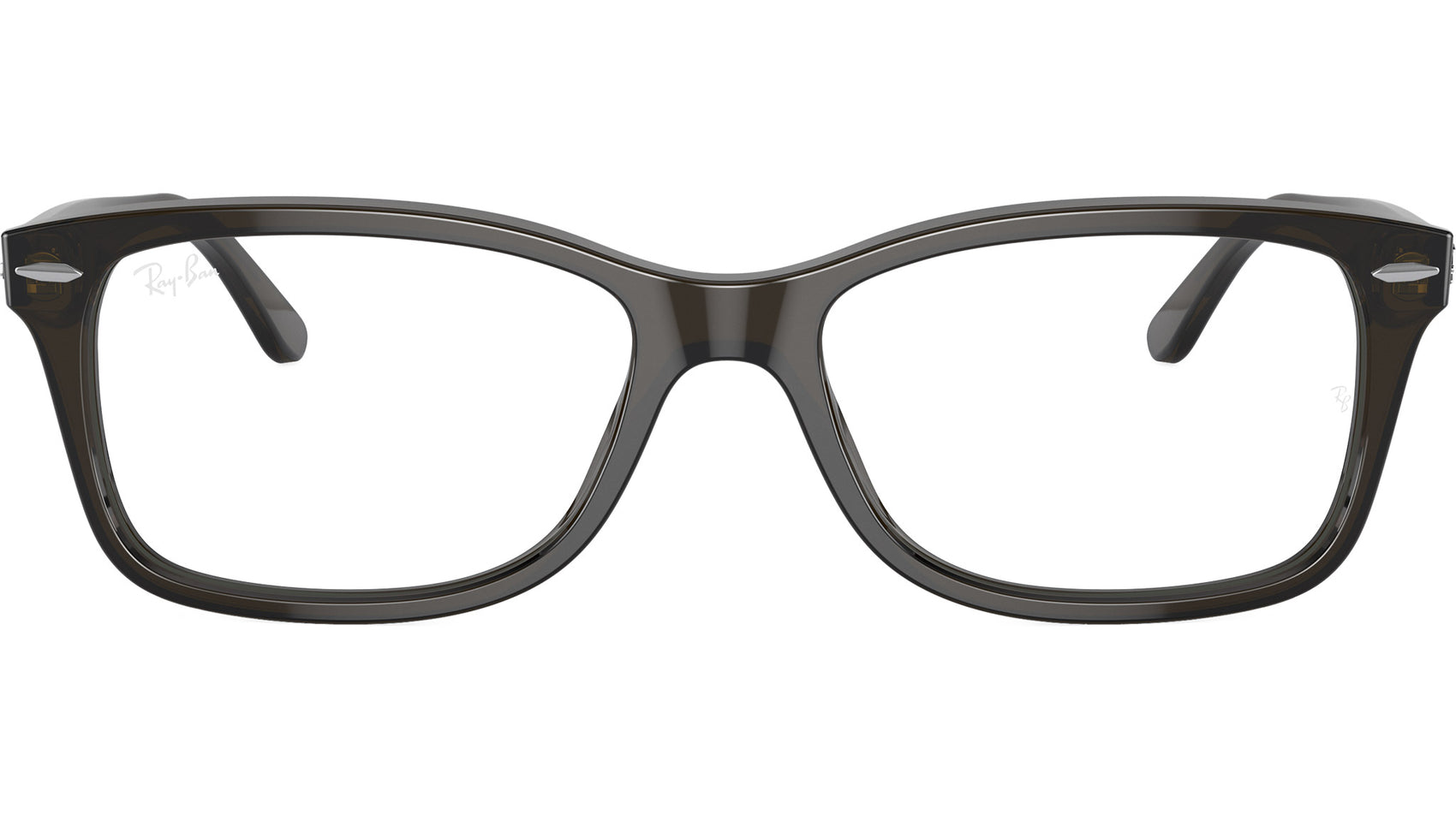 RB5428 Optics 8299